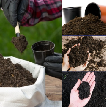 Toprak Botanik Peyzaj Ürünleri