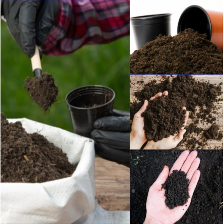 Toprak Botanik Peyzaj Ürünleri