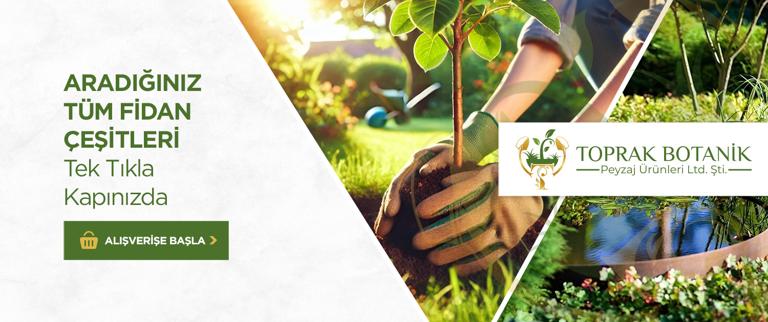 Toprak Botanik Peyzaj Ürünleri
